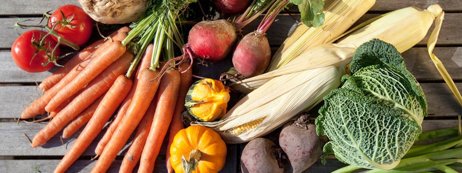 Ontzurende voeding voor een orthomoleculair dieet